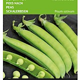 Buzzy Doperwten Zaden Marktveroveraar
