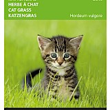 Buzzy Kattengras Zaden Gerst