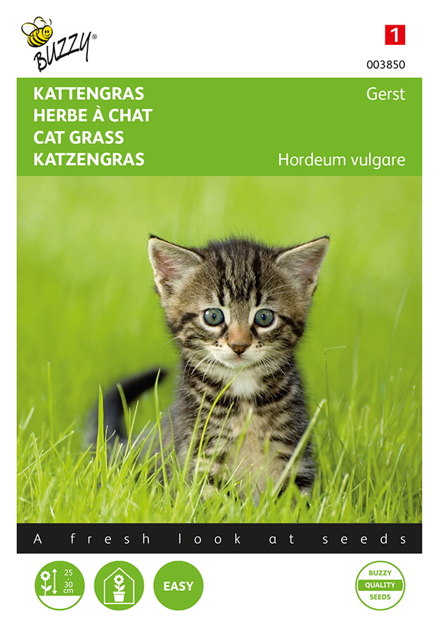 Buzzy Kattengras Zaden Gerst