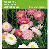 Buzzy Acrolinium Zaden Double Flowered