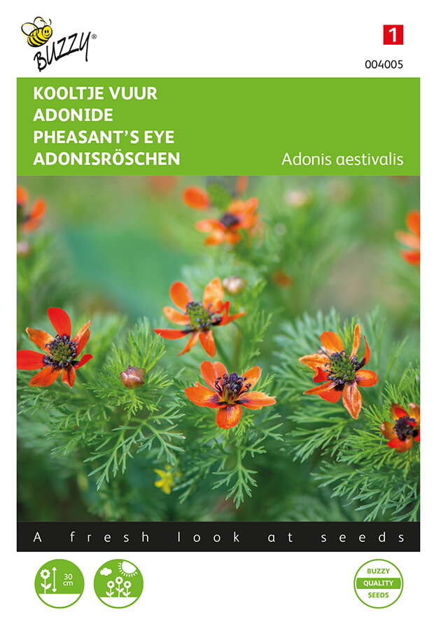 Buzzy Kooltje Vuur Zaden