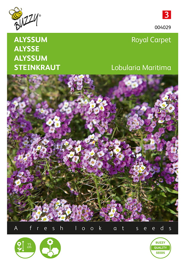 Buzzy Alyssum Zaden Royal Carpet