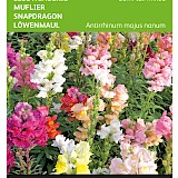 Buzzy Leeuwenbekje Zaden Semi Tall Mixed