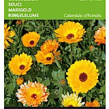 Buzzy Goudsbloem Zaden Touch of Red
