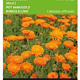 Buzzy Goudsbloem Zaden Balls Orange