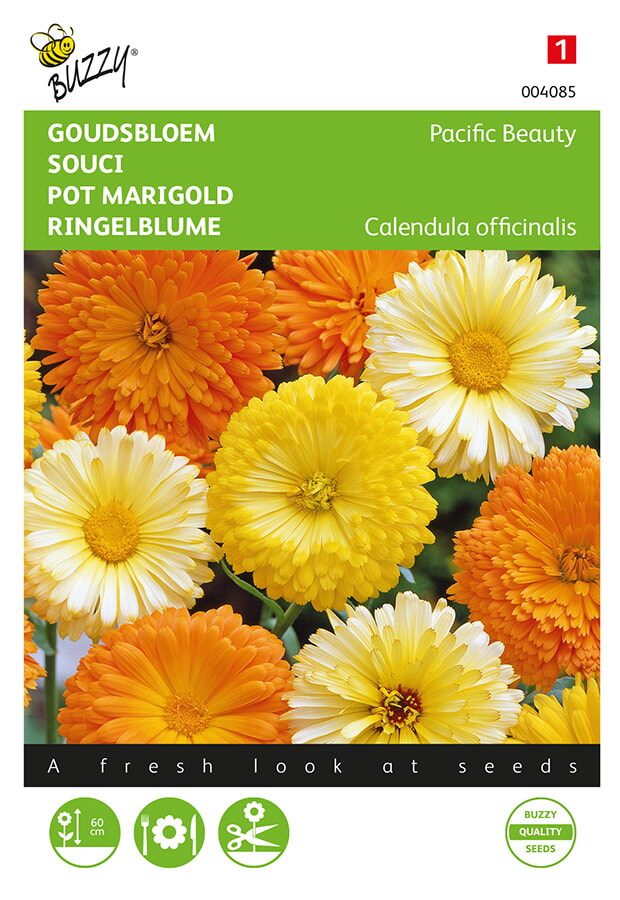 Buzzy Goudsbloem Zaden Pacific Beauty