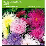 Buzzy Straalaster Zaden Unicum