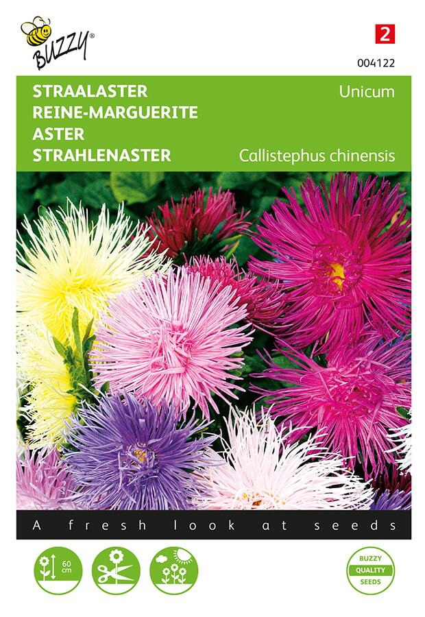 Buzzy Straalaster Zaden Unicum