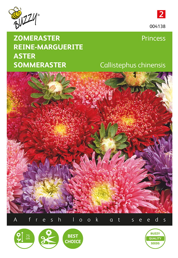 Buzzy Zomeraster Zaden Princess