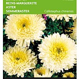 Buzzy Zomeraster Zaden Princess Goudgeel