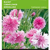 Buzzy Korenbloem Zaden Pink Ball