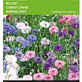 Buzzy Korenbloem Zaden Mixed