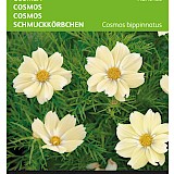 Buzzy Cosmea Zaden Xanthos