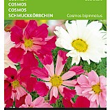 Buzzy Cosmos Zaden Sea Stars
