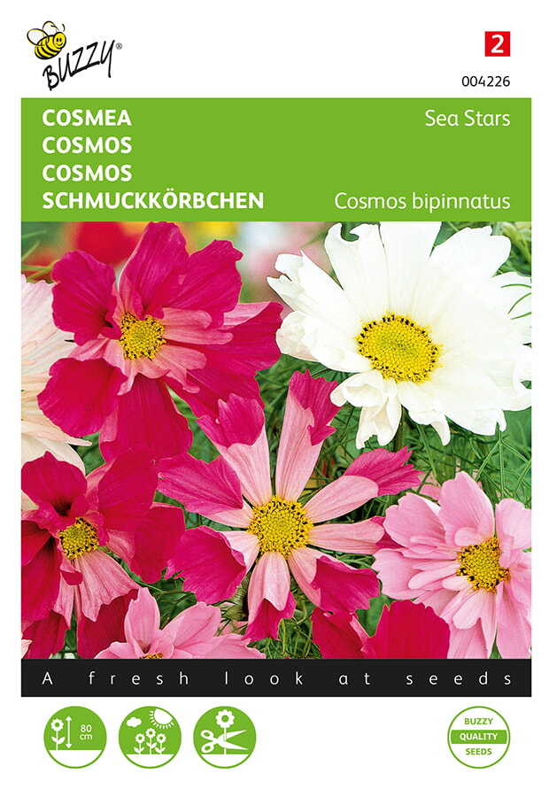 Buzzy Cosmos Zaden Sea Stars
