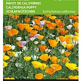 Buzzy Slaapmutsje Zaden Single Flowered