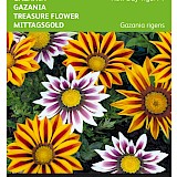 Buzzy Gazania Zaden New Day Tiger F1