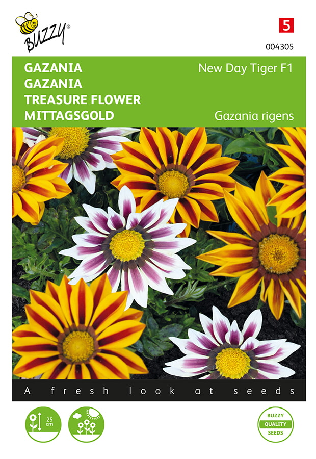 Buzzy Gazania Zaden New Day Tiger F1