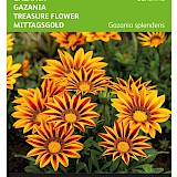 Buzzy Gazania Zaden Sunshine