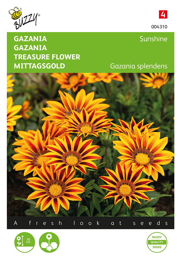 Buzzy Gazania Zaden Sunshine
