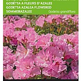 Buzzy Zomerazalea Zaden Sweetheart Pink