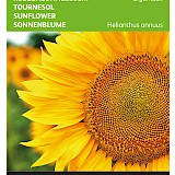 Buzzy Reuzenzonnebloem Zaden Giganteus