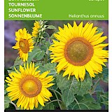 Buzzy Zonnebloem Zaden Sunspot