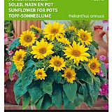 Buzzy Potzonnebloem Zaden Pacino