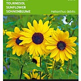 Buzzy Zonnebloem Zaden Stella