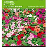 Buzzy Vlijtig Liesje Zaden