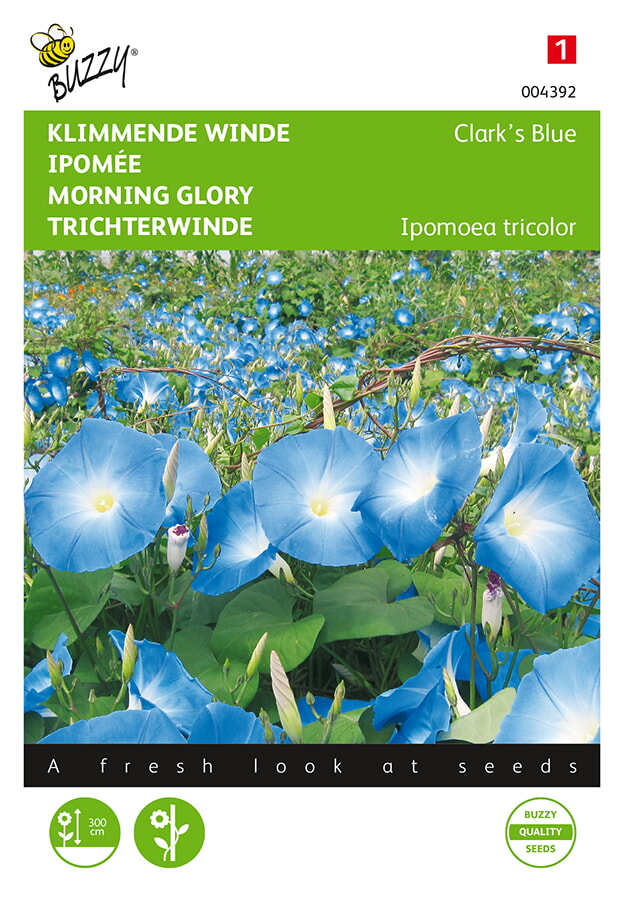 Buzzy Klimmende Winde Zaden Clark's Blue