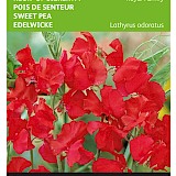 Buzzy Reuk- of Siererwt Zaden Royal Family Rood