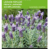 Buzzy Kuif- of Vlinderlavendel Zaden