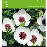 Buzzy Vlas Zaden Bright Eyes