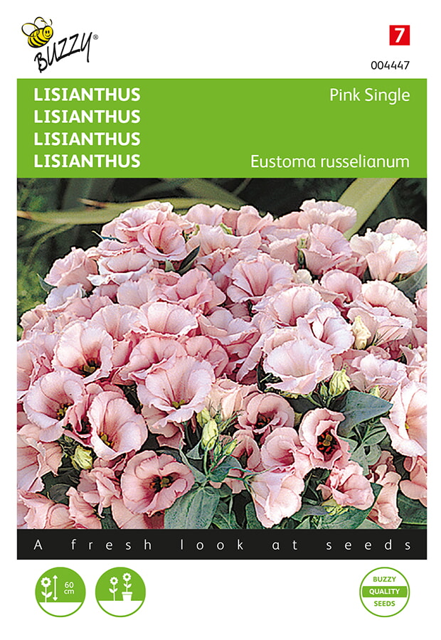 Buzzy Lisianthus Zaden Pink Single