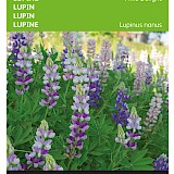 Buzzy Lupine Zaden Pixie Delight