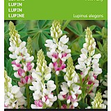 Buzzy Lupine Zaden Pink Fairy