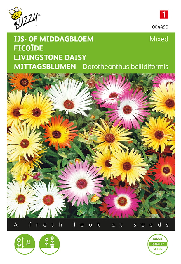 Buzzy IJs- of Middagbloem Zaden