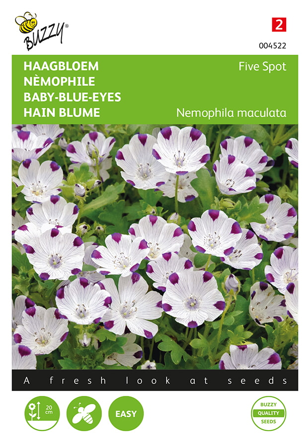 Buzzy Haagebloem Zaden Five Spot