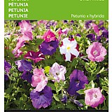 Buzzy Petunia Zaden Laag Gemengd