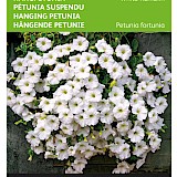 Buzzy Hangpetunia Zaden White Ramblin