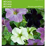 Buzzy Petunia Zaden Sophistica
