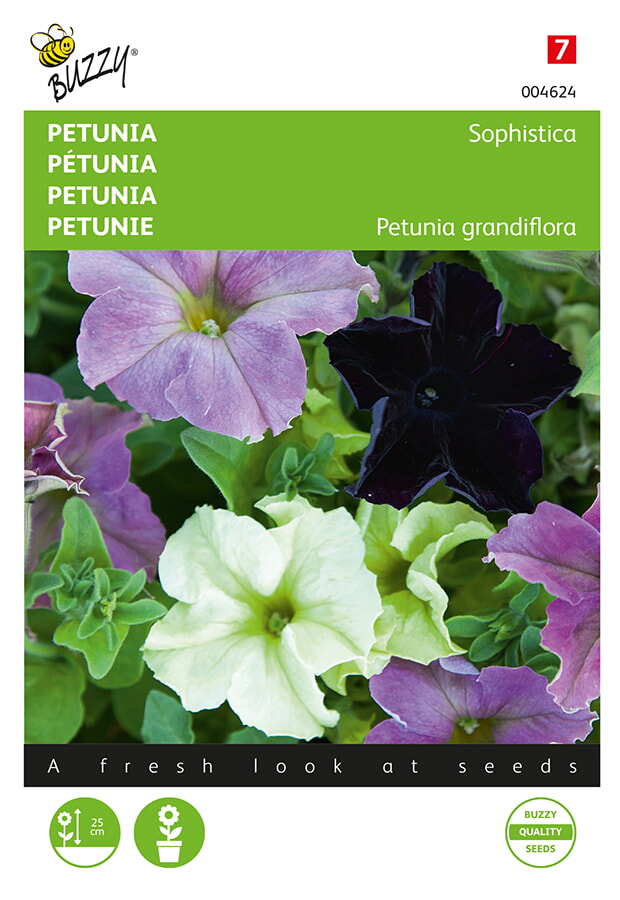 Buzzy Petunia Zaden Sophistica