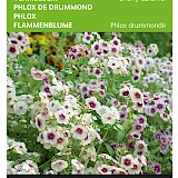 Buzzy Vlambloem Zaden Cherry Caramel