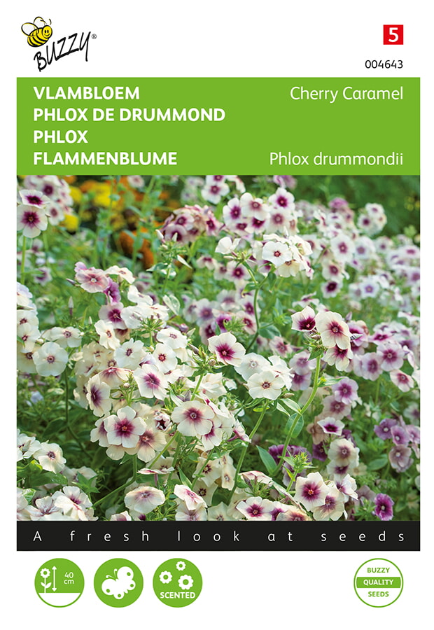 Buzzy Vlambloem Zaden Cherry Caramel