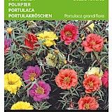 Buzzy Portulaca Zaden Double Flowered