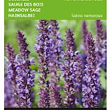 Buzzy Bossalie Zaden New Dimension Blue