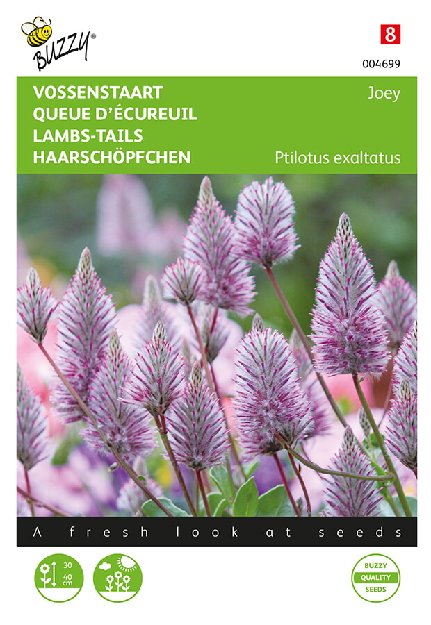 Buzzy Vossenstaart Zaden Joey