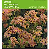 Buzzy Lamsoor Zaden Apricot Shades
