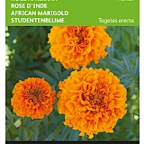 Buzzy Hoge Afrikaan Zaden Hawaii